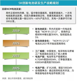 5月新能源乘用車市場增速放緩，投資管理面臨新考量